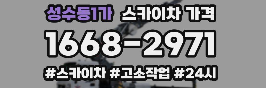 성수동1가 스카이차 가격