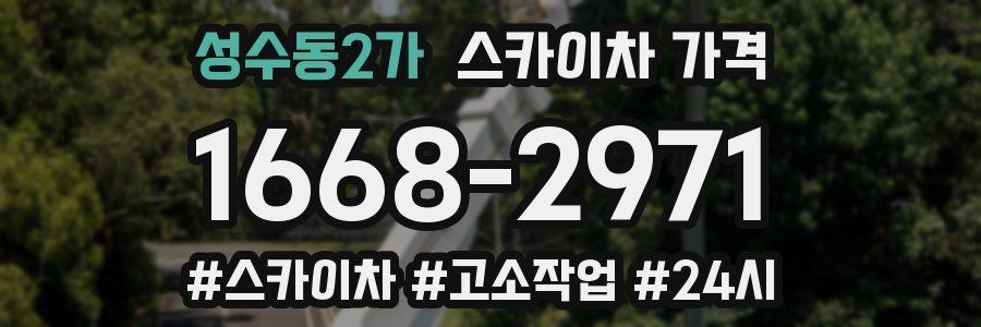 성수동2가 스카이차 가격