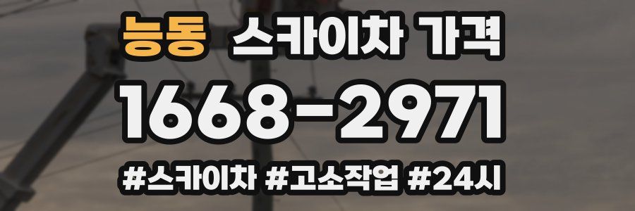 능동 스카이차 가격