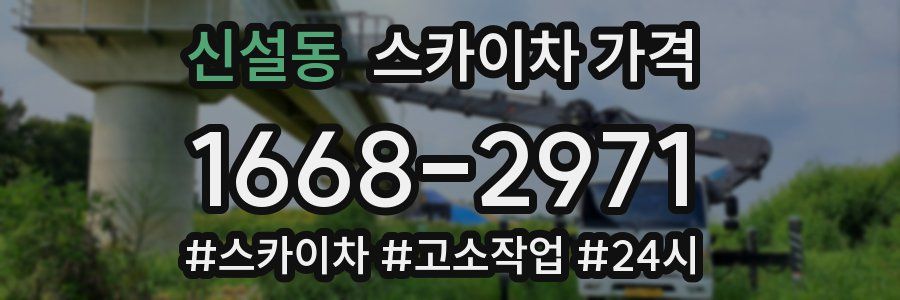 신설동 스카이차 가격