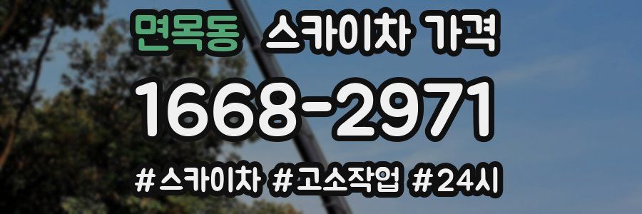 면목동 스카이차 가격