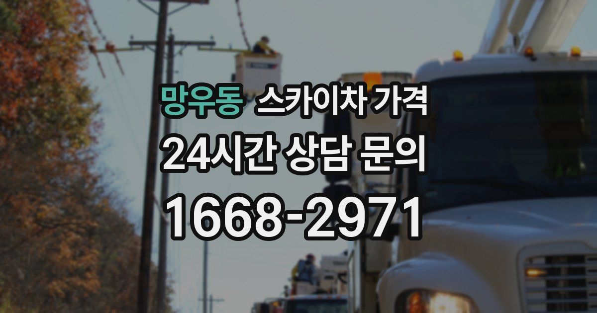 망우동 스카이차 가격