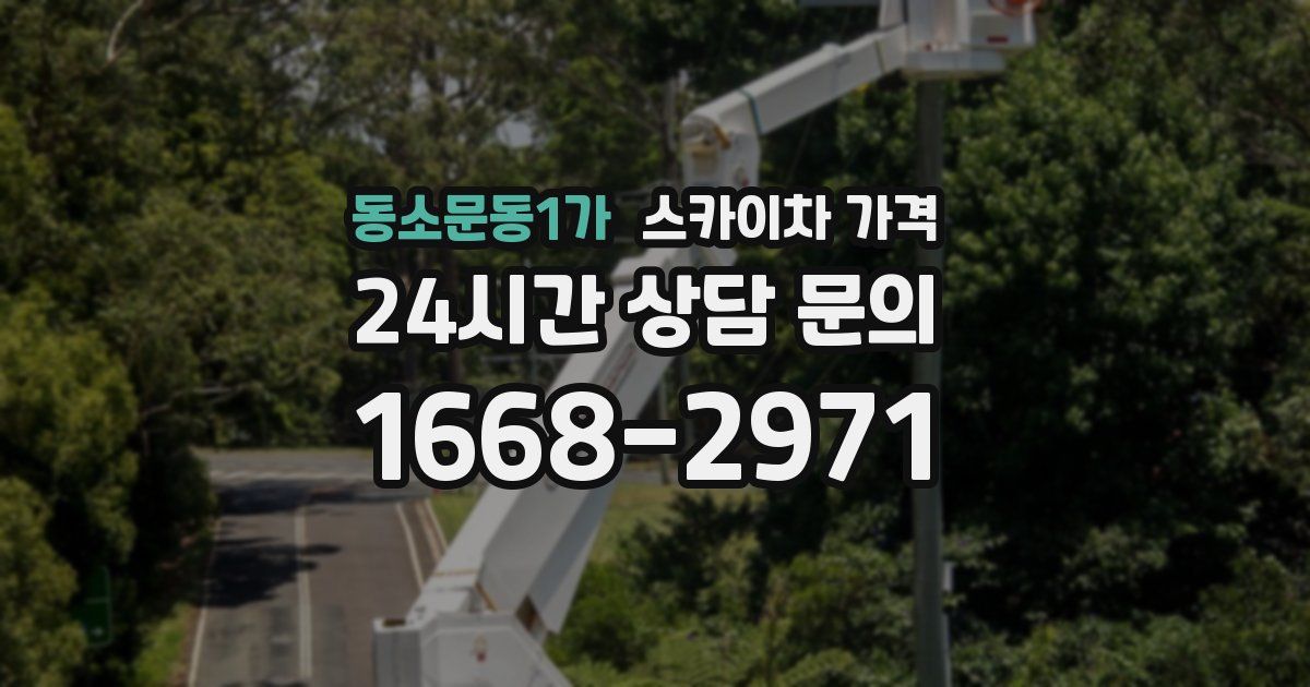 동소문동1가 스카이차 가격