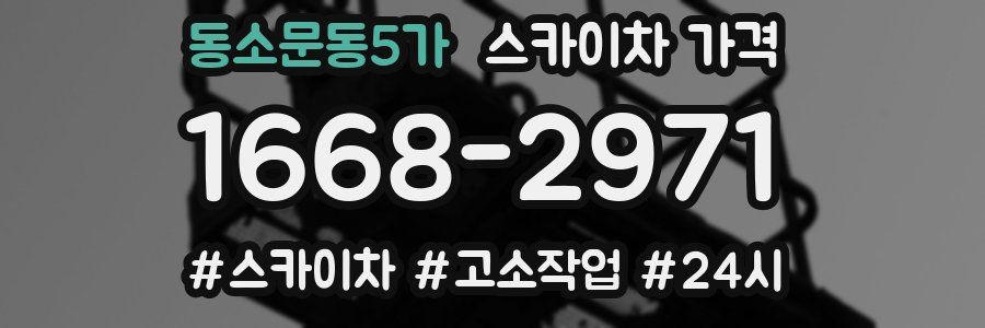 동소문동5가 스카이차 가격