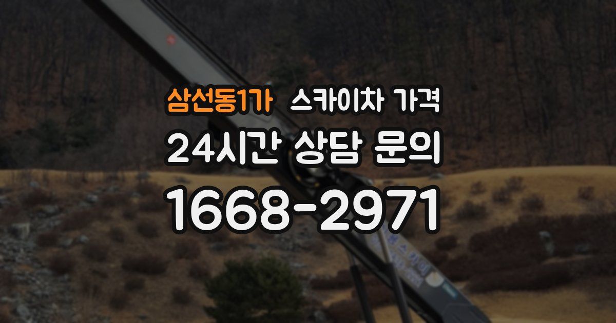 삼선동1가 스카이차 가격