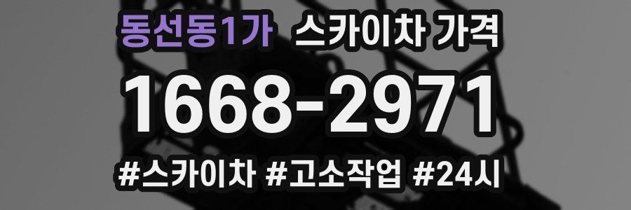 동선동1가 스카이차 가격