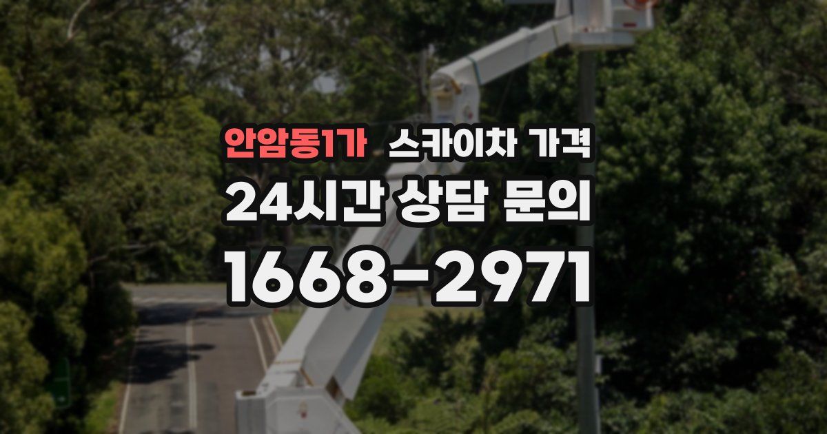 안암동1가 스카이차 가격