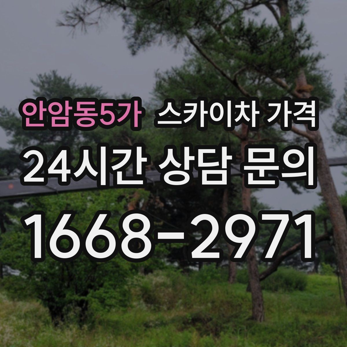 안암동5가 스카이차 가격 날씨 변수까지 감안한 일정 잡는 방법