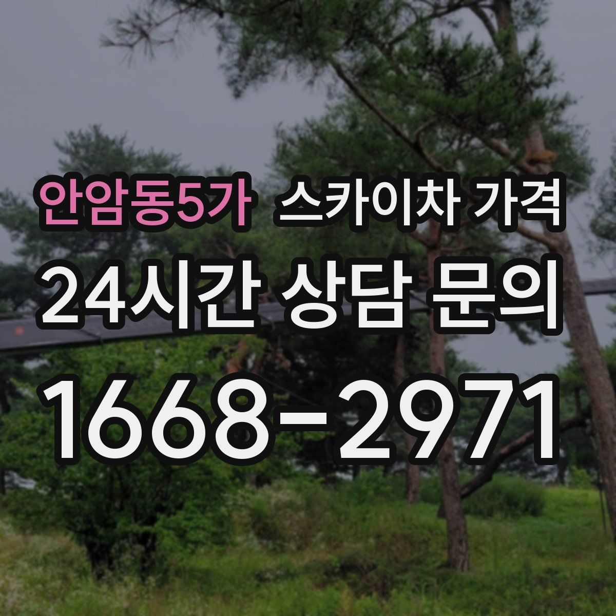 안암동5가 스카이차 가격