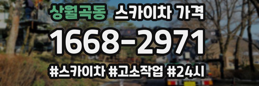 상월곡동 스카이차 가격