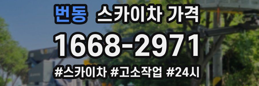 번동 스카이차 가격