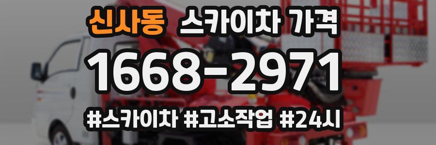 신사동 스카이차 가격