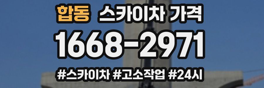 합동 스카이차 가격