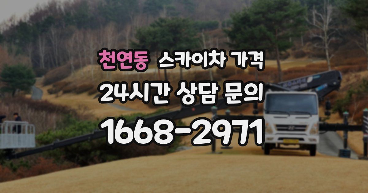 천연동 스카이차 가격