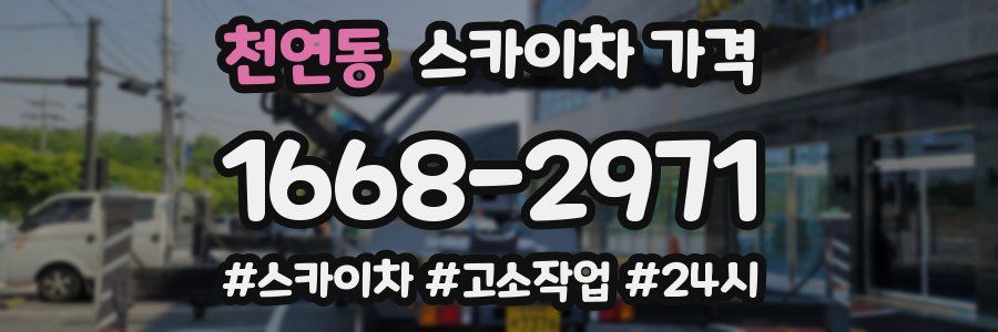 천연동 스카이차 가격