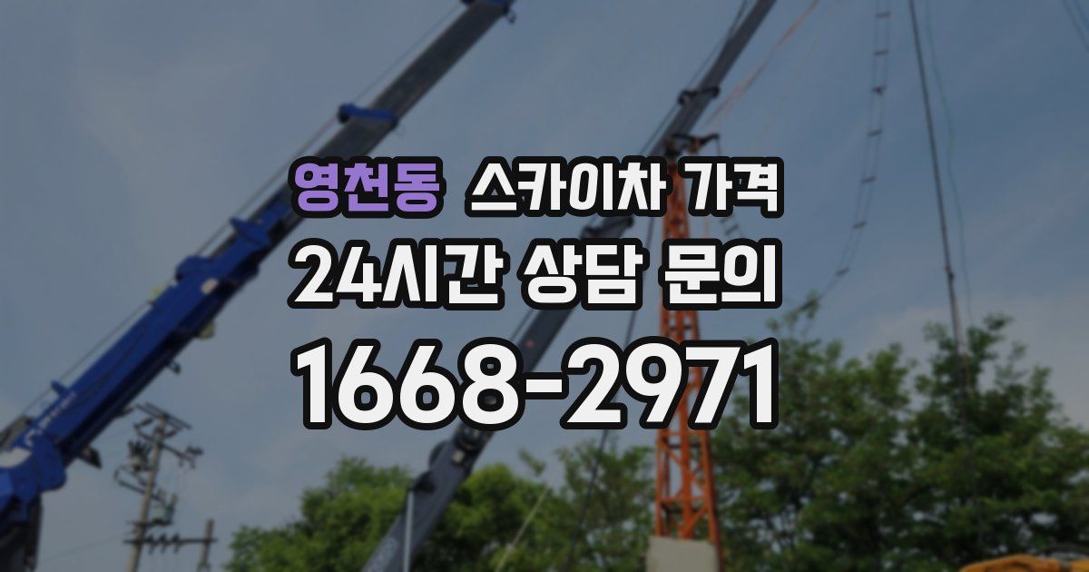 영천동 스카이차 가격