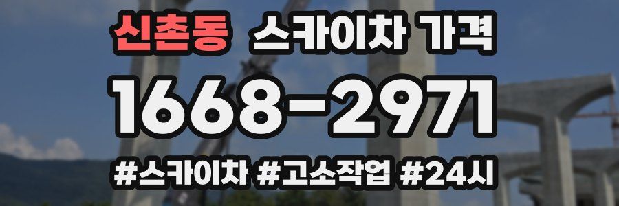 신촌동 스카이차 가격