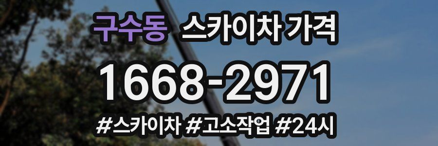 구수동 스카이차 가격