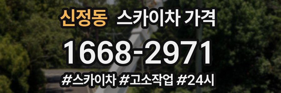 신정동 스카이차 가격