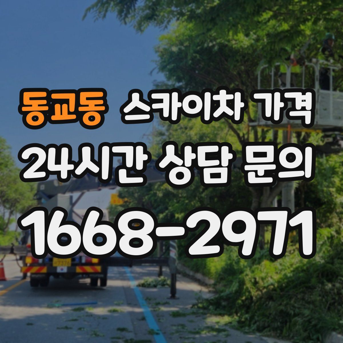 동교동 스카이차 가격