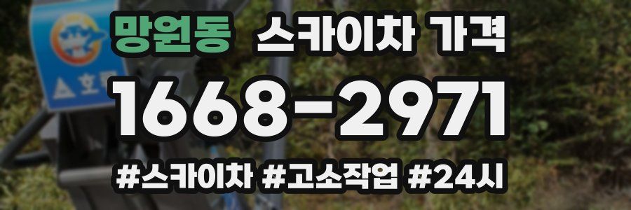 망원동 스카이차 가격