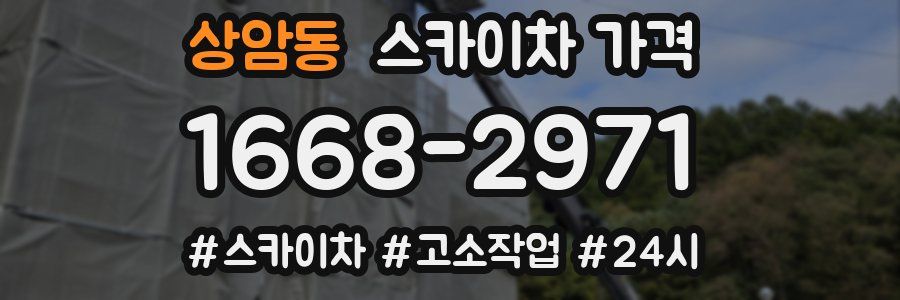 상암동 스카이차 가격