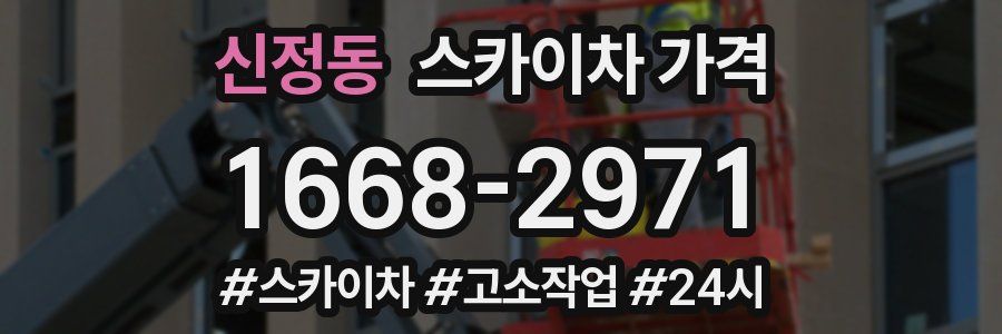 신정동 스카이차 가격