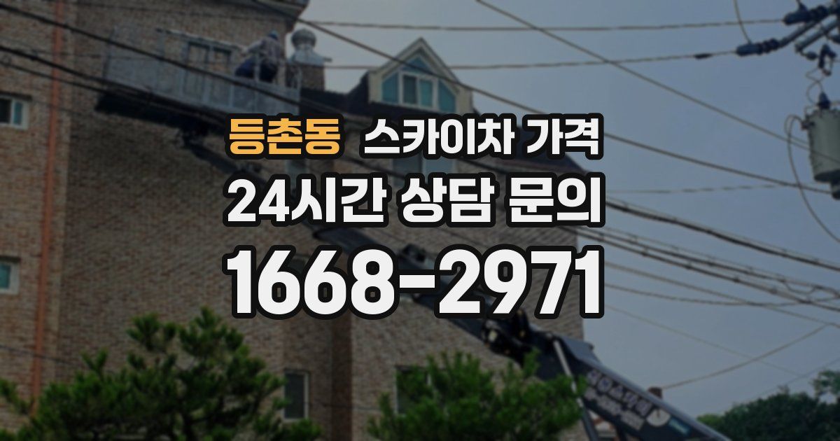 등촌동 스카이차 가격