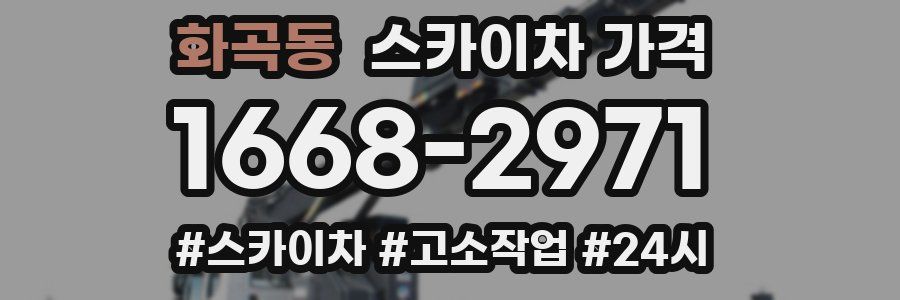 화곡동 스카이차 가격