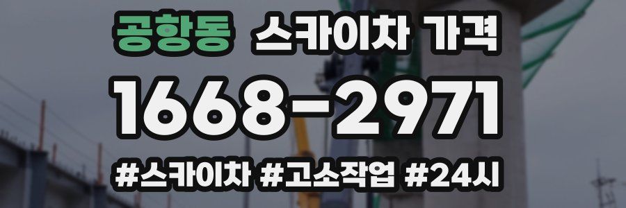 공항동 스카이차 가격