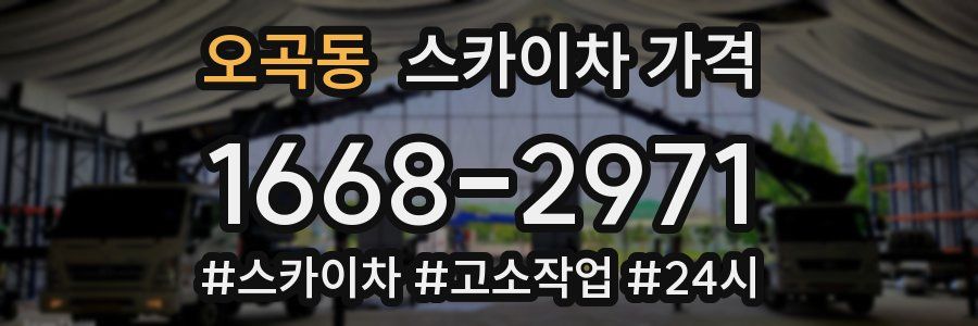 오곡동 스카이차 가격