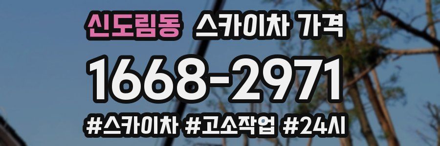 신도림동 스카이차 가격