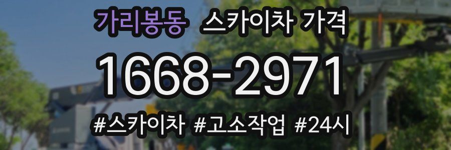 가리봉동 스카이차 가격