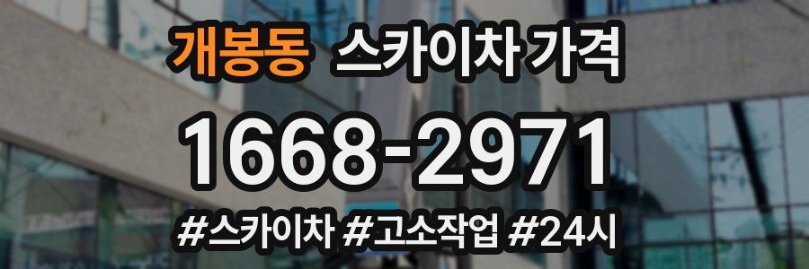 개봉동 스카이차 가격