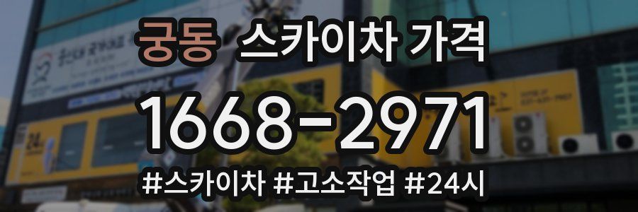 궁동 스카이차 가격