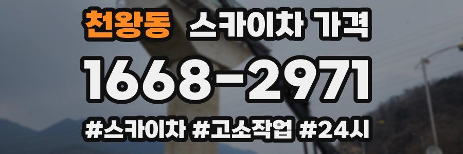 천왕동 스카이차 가격