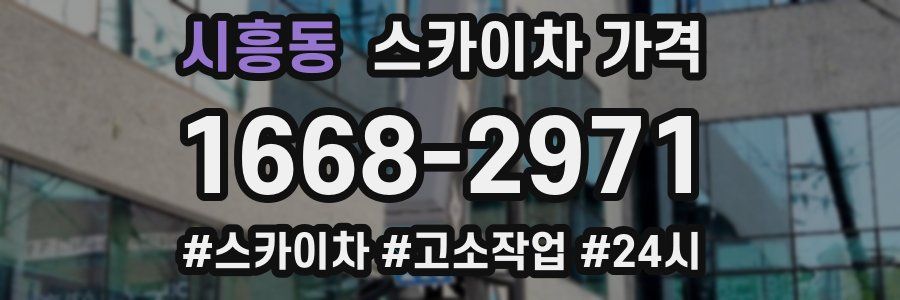 시흥동 스카이차 가격