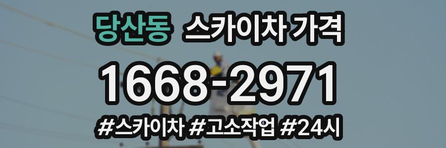 당산동 스카이차 가격