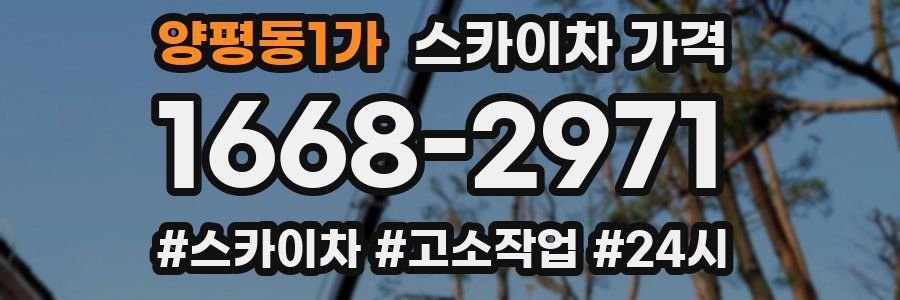 양평동1가 스카이차 가격