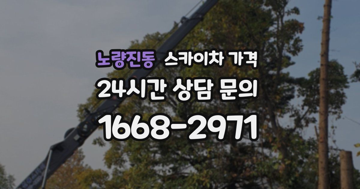 노량진동 스카이차 가격