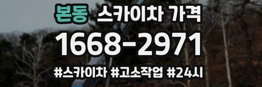 본동 스카이차 가격