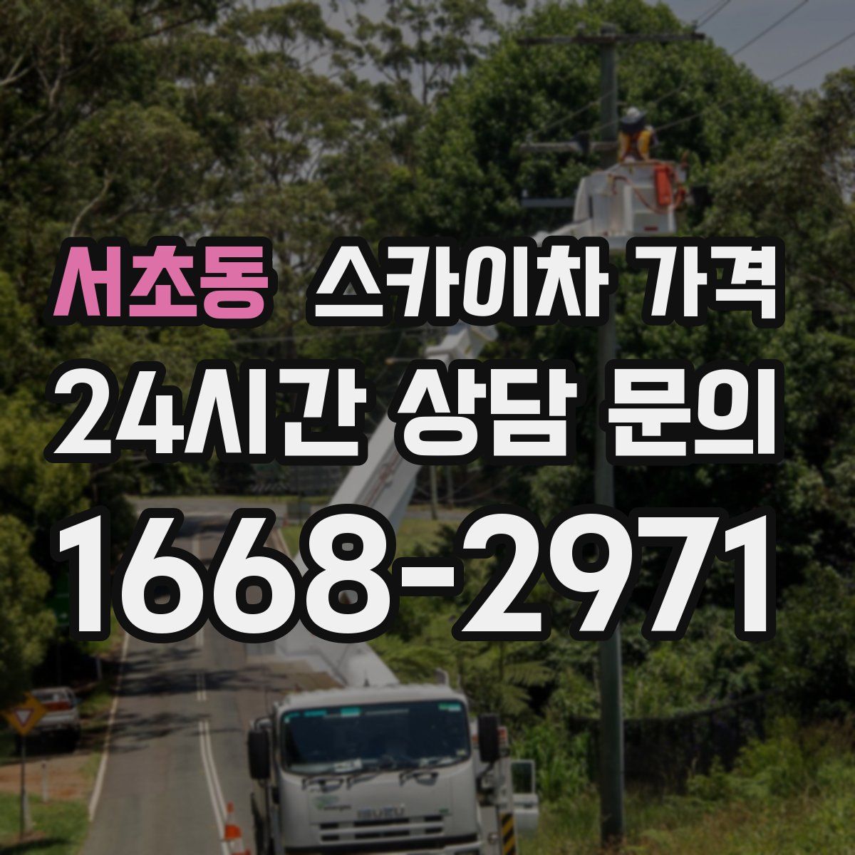 서초동 스카이차 가격