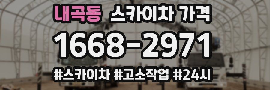 내곡동 스카이차 가격