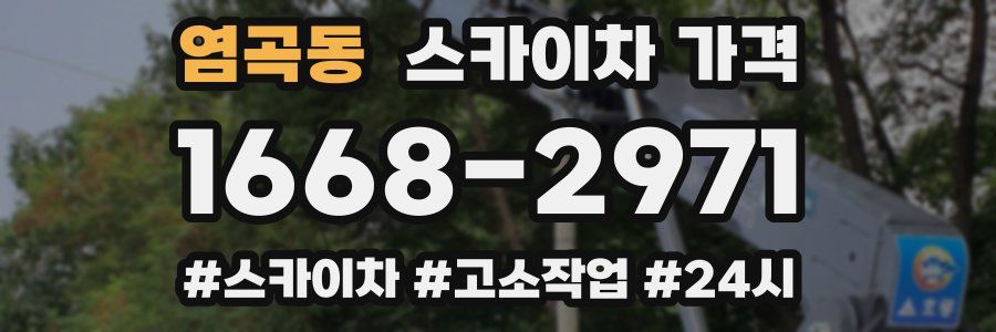 염곡동 스카이차 가격