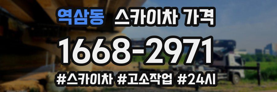 역삼동 스카이차 가격