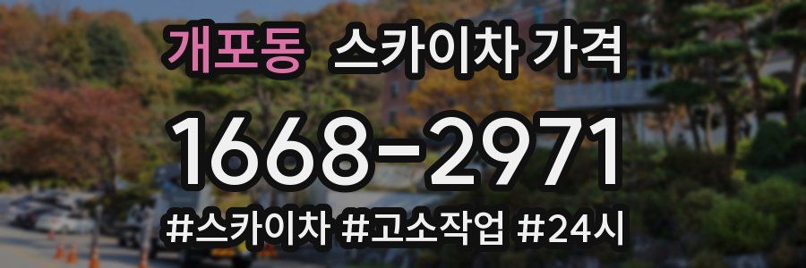 개포동 스카이차 가격