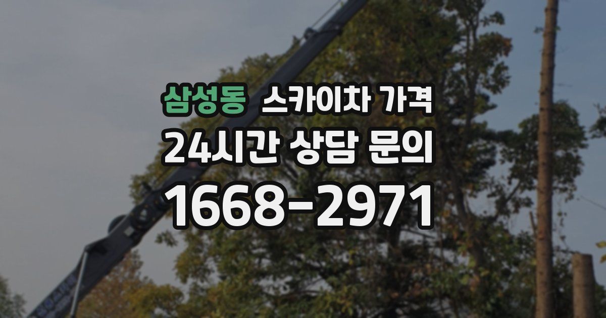 삼성동 스카이차 가격