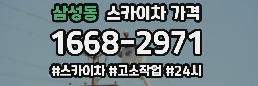 삼성동 스카이차 가격