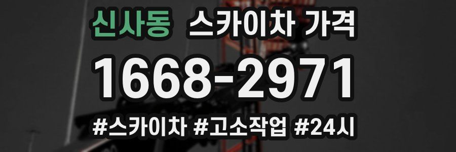 신사동 스카이차 가격