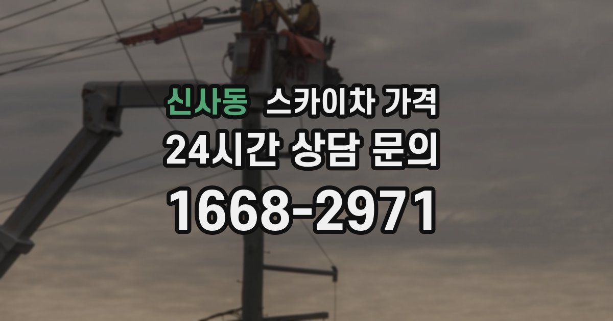 신사동 스카이차 가격